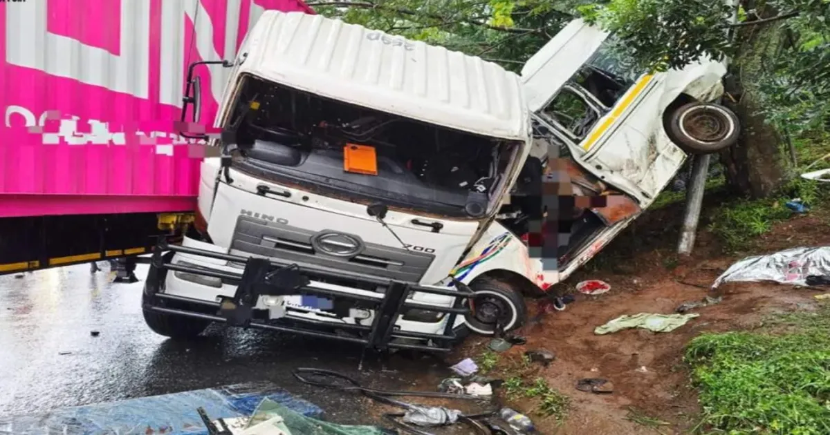 11 Dead Including Schoolchild in South Africa Minibus-Truck Crash