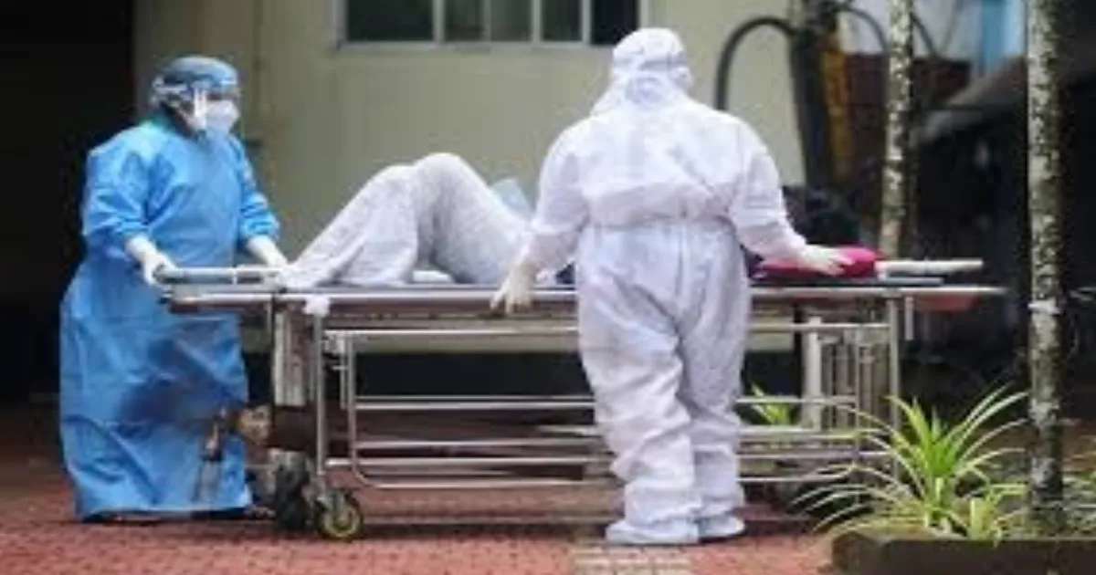 Deadly Showdown: Nipah Virus vs Bird Flu - Which is More Lethal?