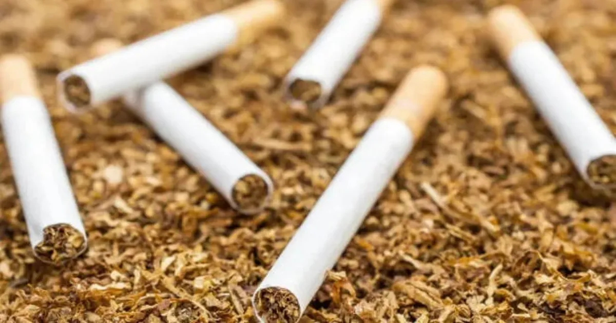 Rising Taxes Fuel Fake Cigarette Trade In Kochi