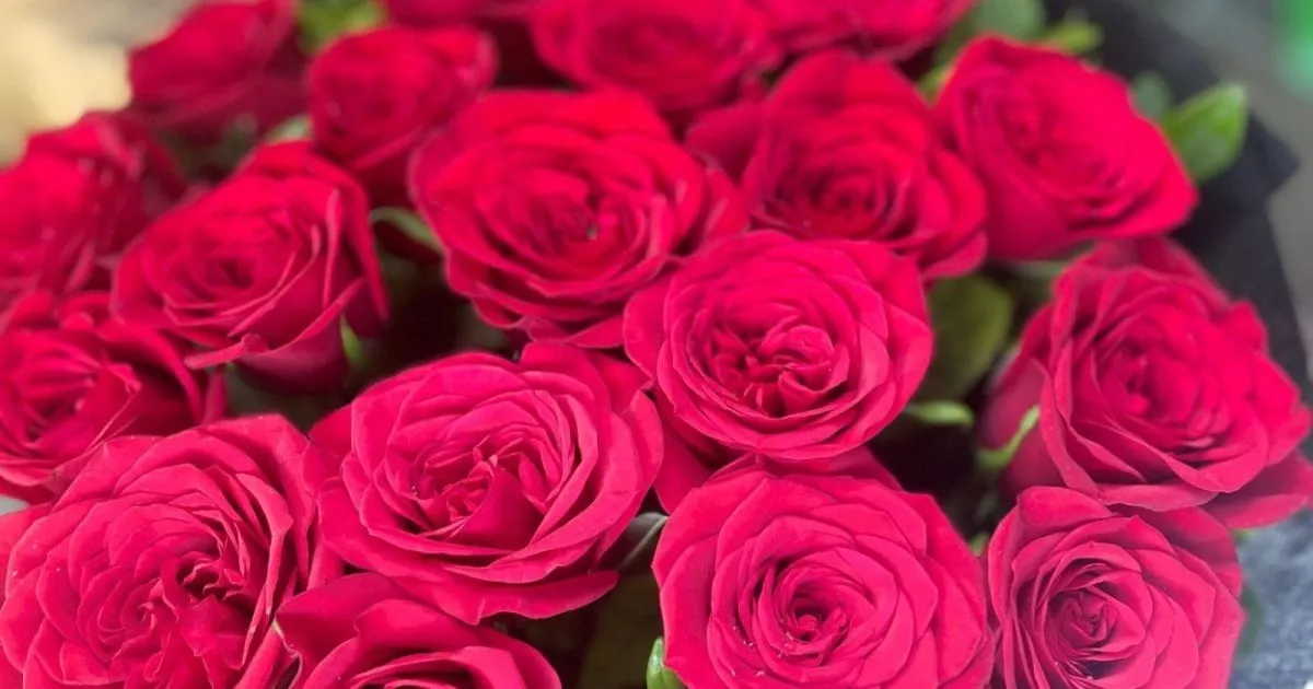Mumbai Faces Valentine’s Day Rose Shortage Due To Export Boom