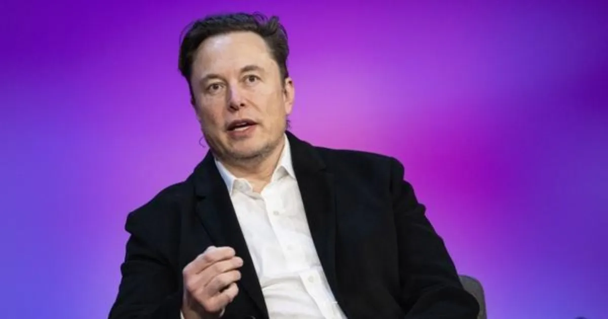Ex-Twitter Executives Call Elon Musk’s Spam Concerns Confusing