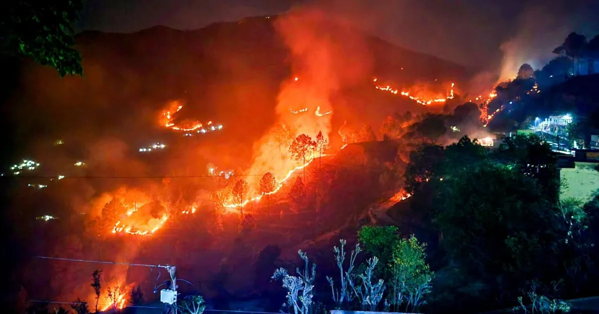 Parliamentary Panel Pushes MoEFCC To Use Technology To Tackle Forest Fires