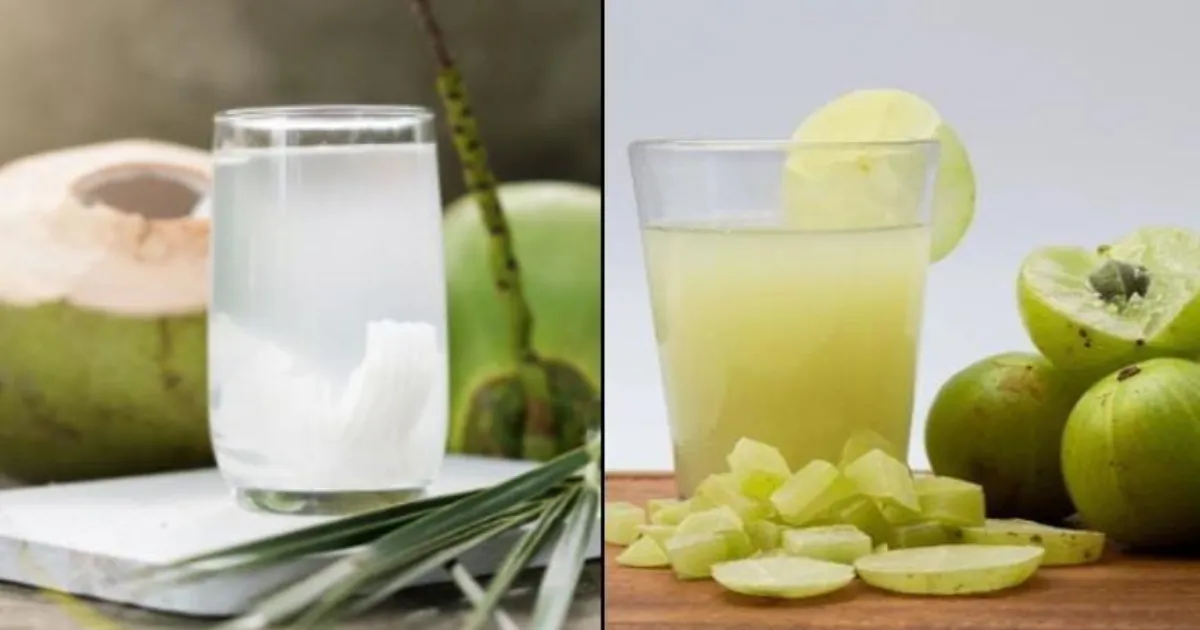 Coconut Water And Amla Shots: Natural Summer Hydration And Immunity Boost