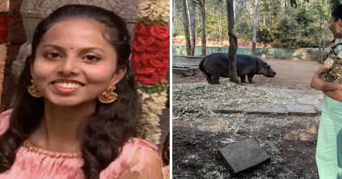 Veterinary Doctor Fatally Attacked by Hippo at Shivamogga Zoo
