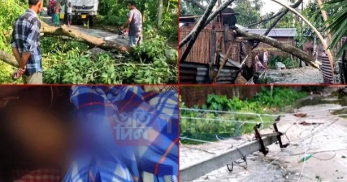 One Dead As Storm Causes Widespread Damage In Assam