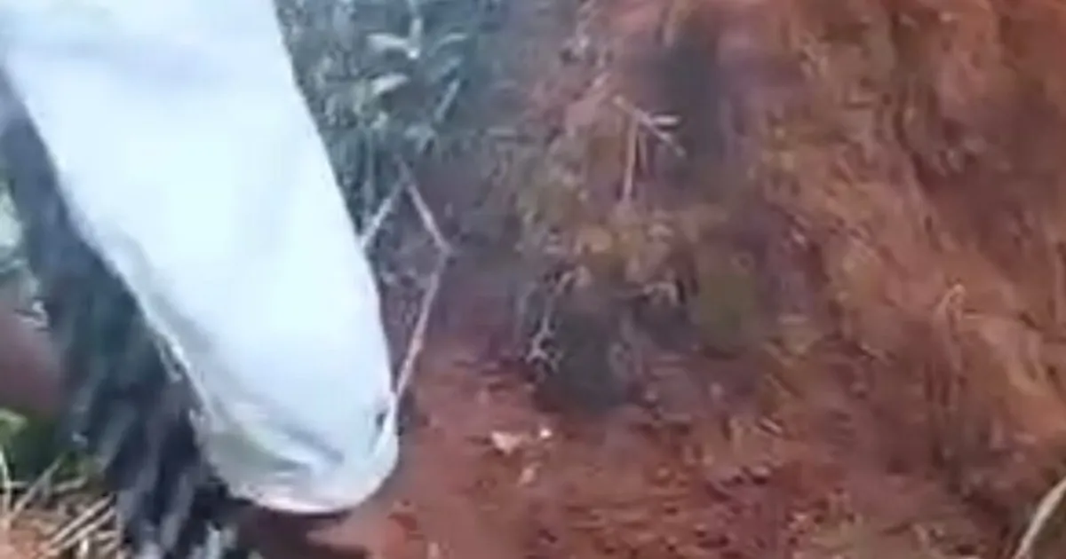 #JUSTIN: Newborn Found Buried Alive In Meghalaya, Rescued By School Children