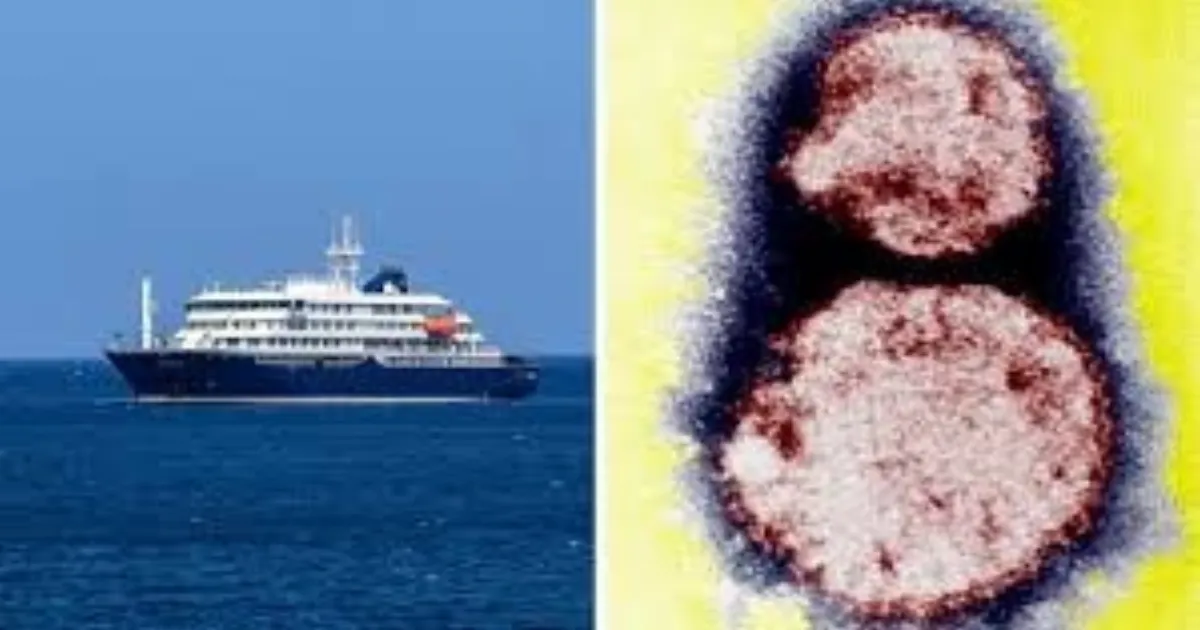 WHO, US Authorities Track Passengers Amid Cruise Ship Hantavirus Outbreak