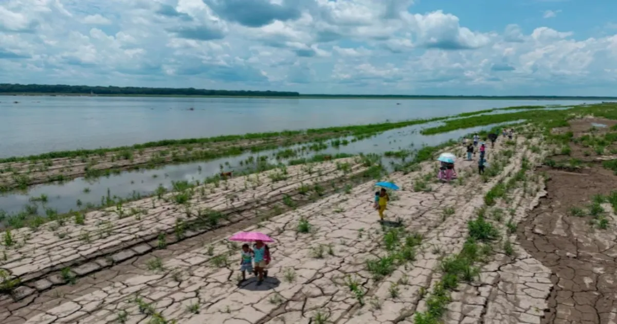 WMO Predicts Developing El Niño With Potential For Severe Global Climate Impact
