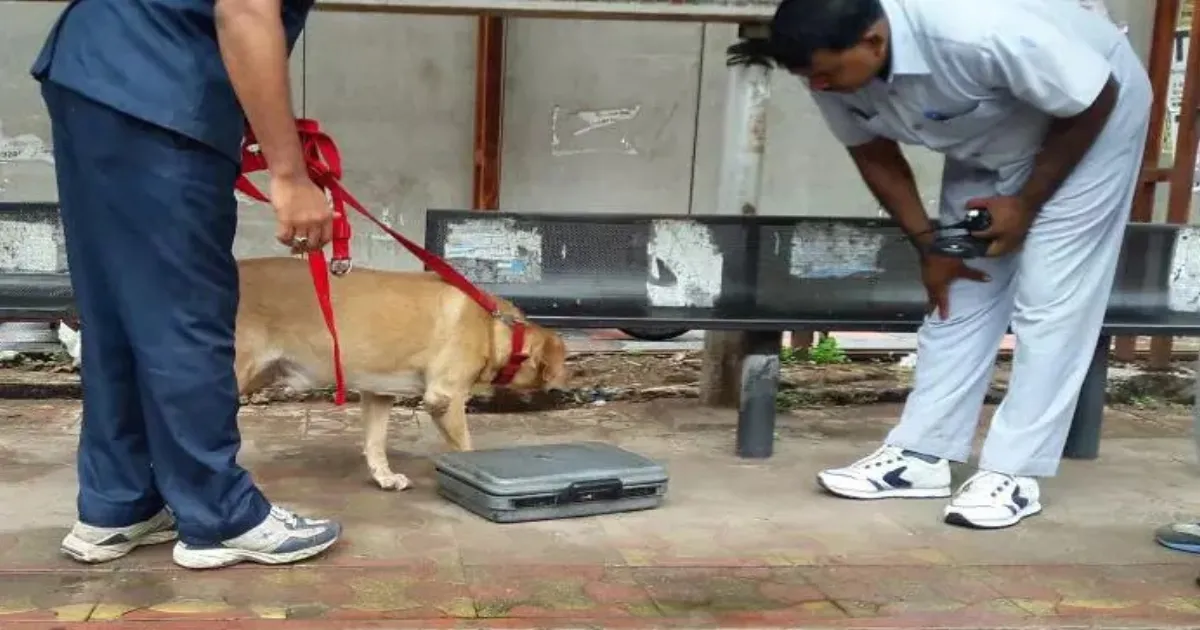 Kerala Cyber Police Probe Hoax Bomb Threat Email Sent To Rajasthan Collector