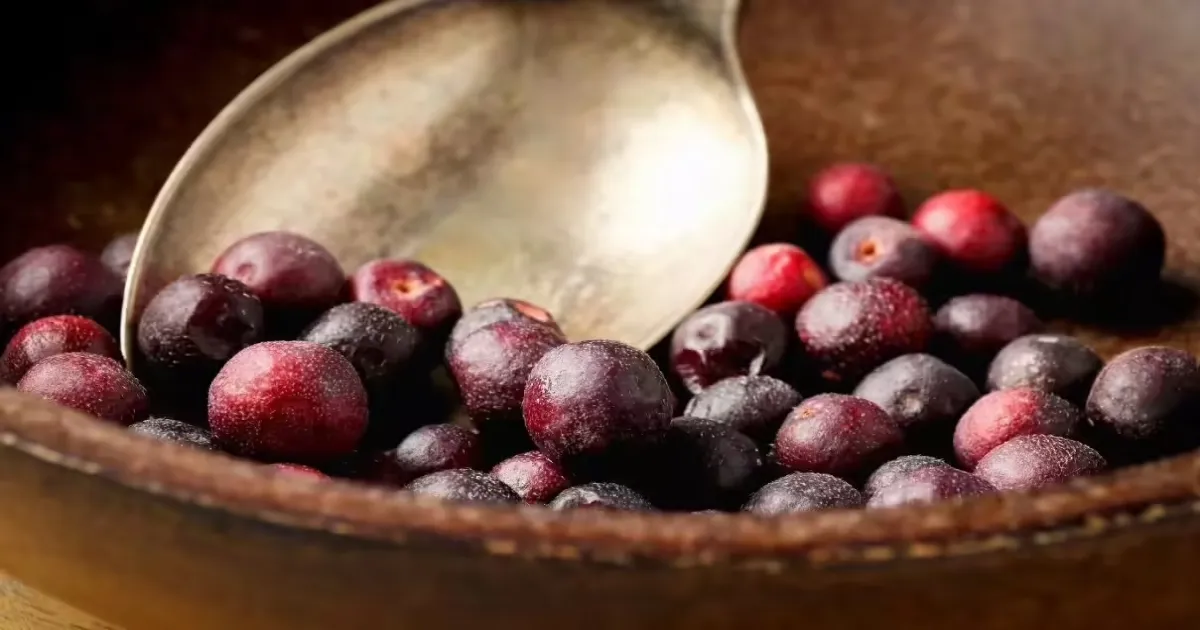 A Forgotten Summer Delight: Falsa’s Short Season And Long Nostalgia