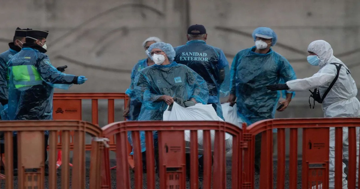Hantavirus Shows No Sign Of Mutation After US Cruise Investigation, Report 