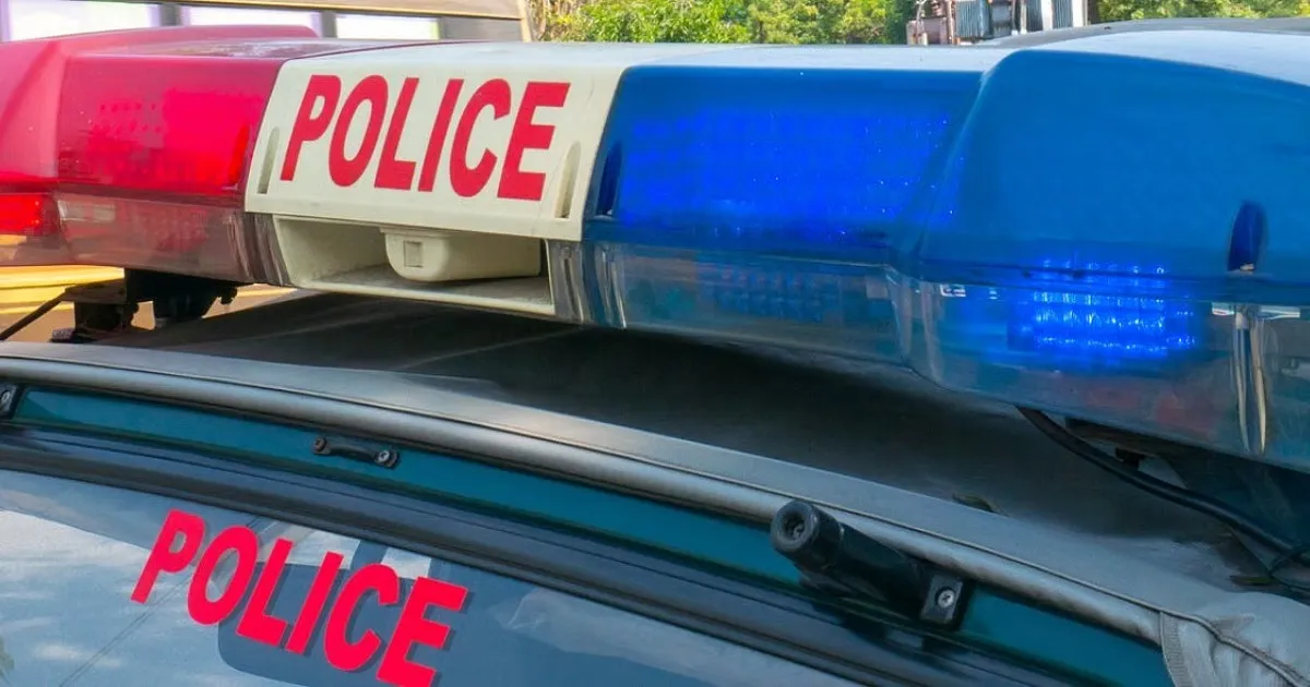 Police Probe Haryana Woman’s Murder and Body Burning in Himachal Pradesh