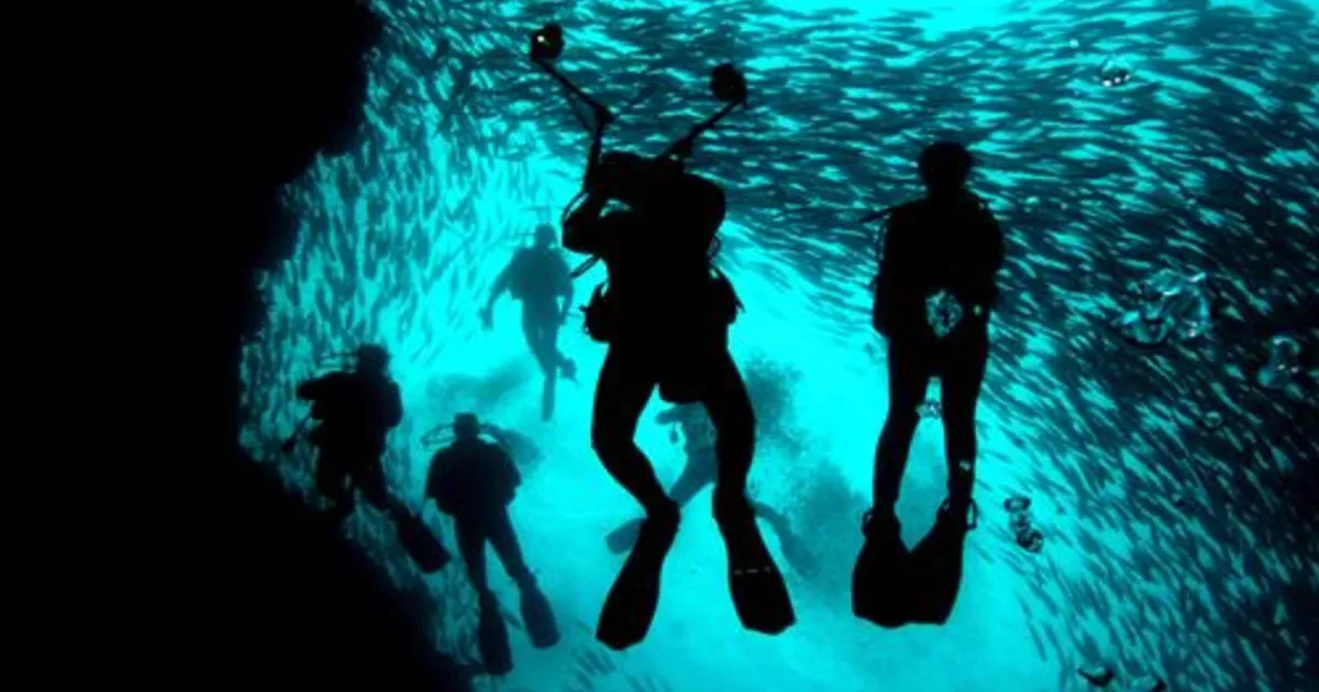 Authorities Investigate Maldives Scuba Diving Incident That Killed Five Italians