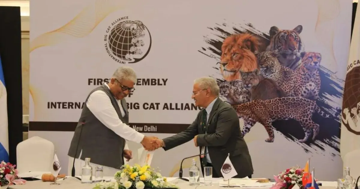 Delhi’s First International Big Cat Alliance Summit Postponed Indefinitely