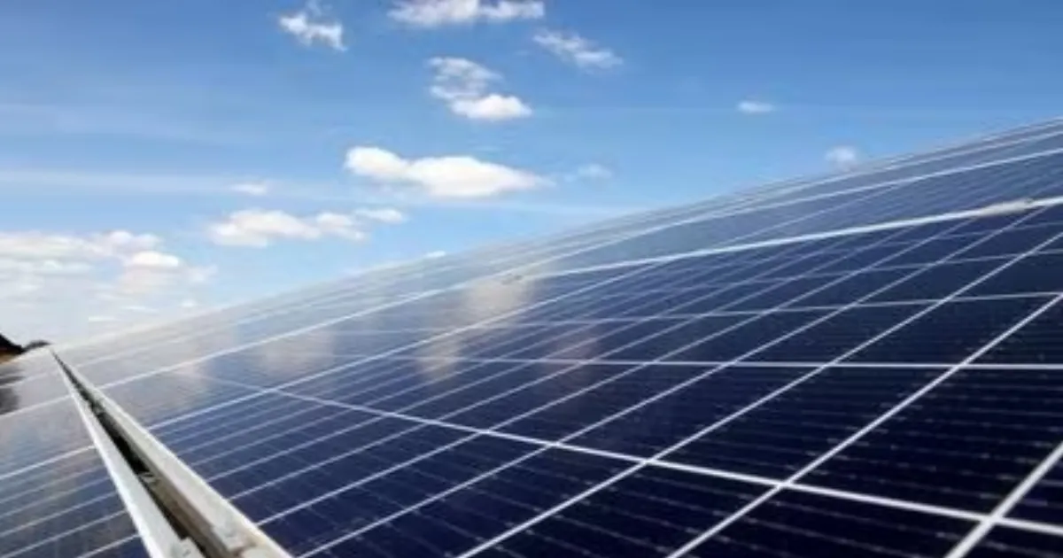 Solarworld Energy Q4 Profit Surges Over 5x To ₹49 Crore, Revenue Triples Year-On-Year
