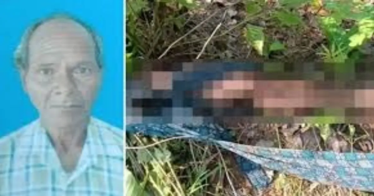 Tiger Attack Suspected After Severed Legs Of Man Discovered In Odisha Forest