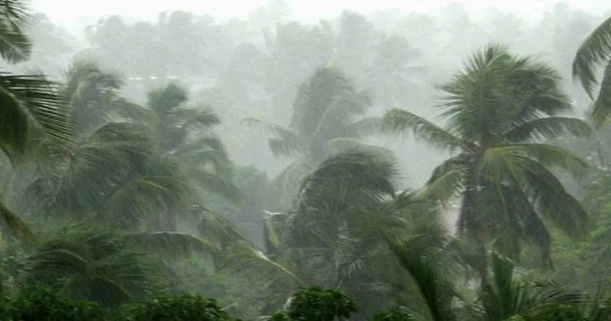 IMD Predicts Monsoon Arrival In Kerala Within Two Days, Early Onset Confirmed