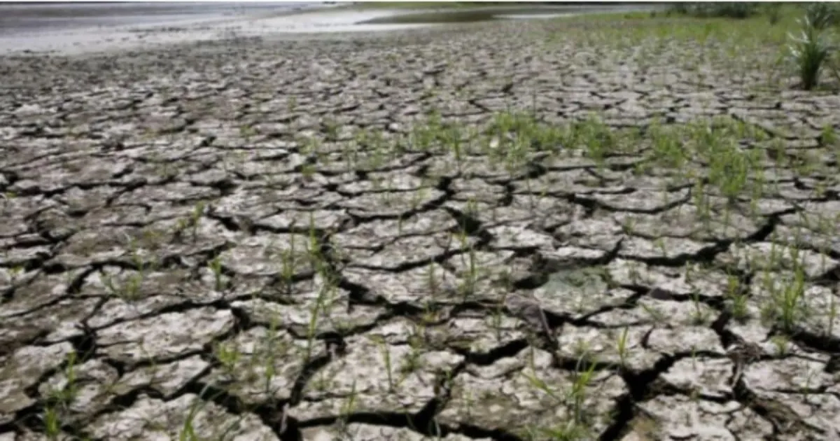 El Niño in Pacific Signals Harsher Indian Summer and Weaker Monsoon