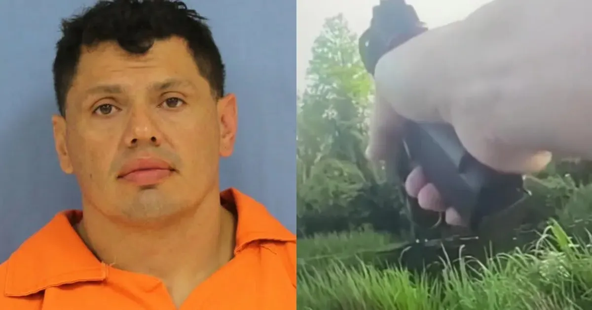 Louisiana Suspect Injured By Alligator While Evading Police In Swamp