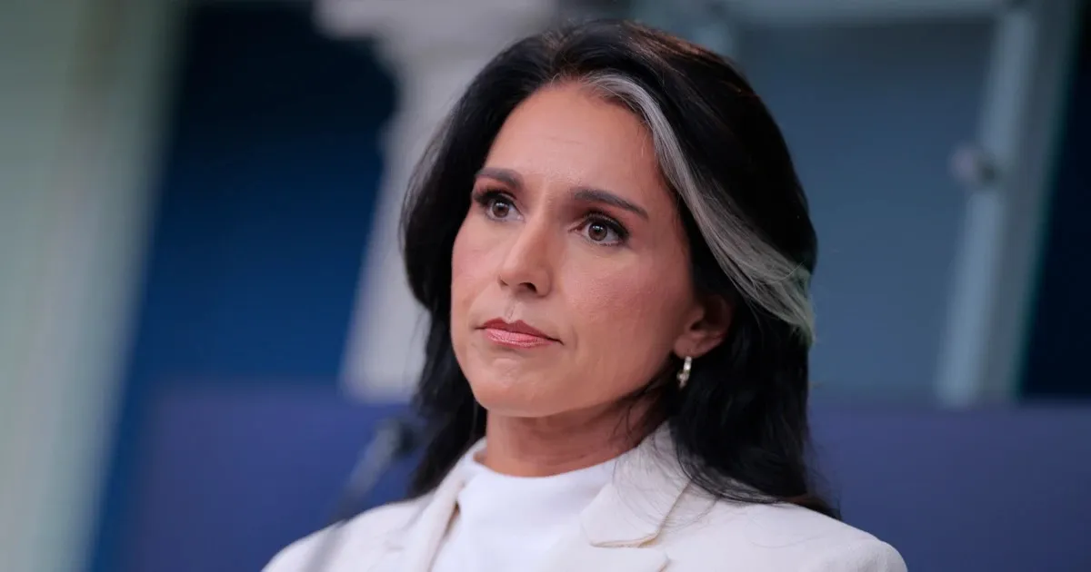 Tulsi Gabbard Alleges Fauci-Linked Funding for Covid-19 Research in Declassified Files