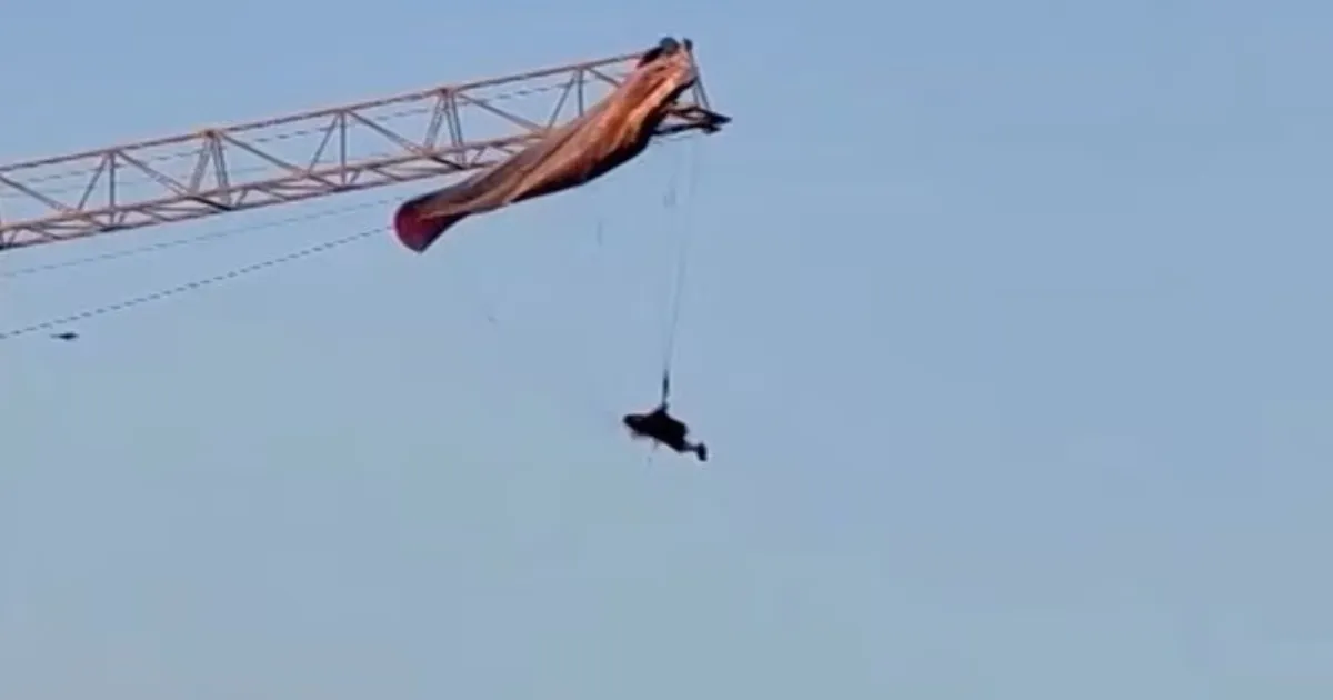 China Paraglider Hangs 60 Metres High Following Mid-Air Crane Incident, Rescued