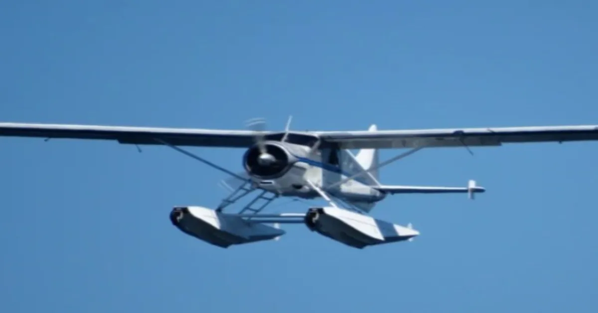 Pasco Plane Crash: Two Dead, Chilling Photos And Videos Reveal Devastating Wreckage Scene