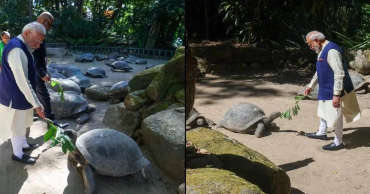 PM Modi Meets World’s Oldest Living Land Animal At Seychelles Botanical Garden