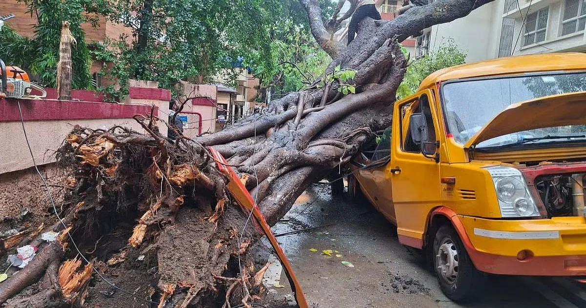 One Student Killed, Several Injured As Tree Collapses On School Bus In Mumbai