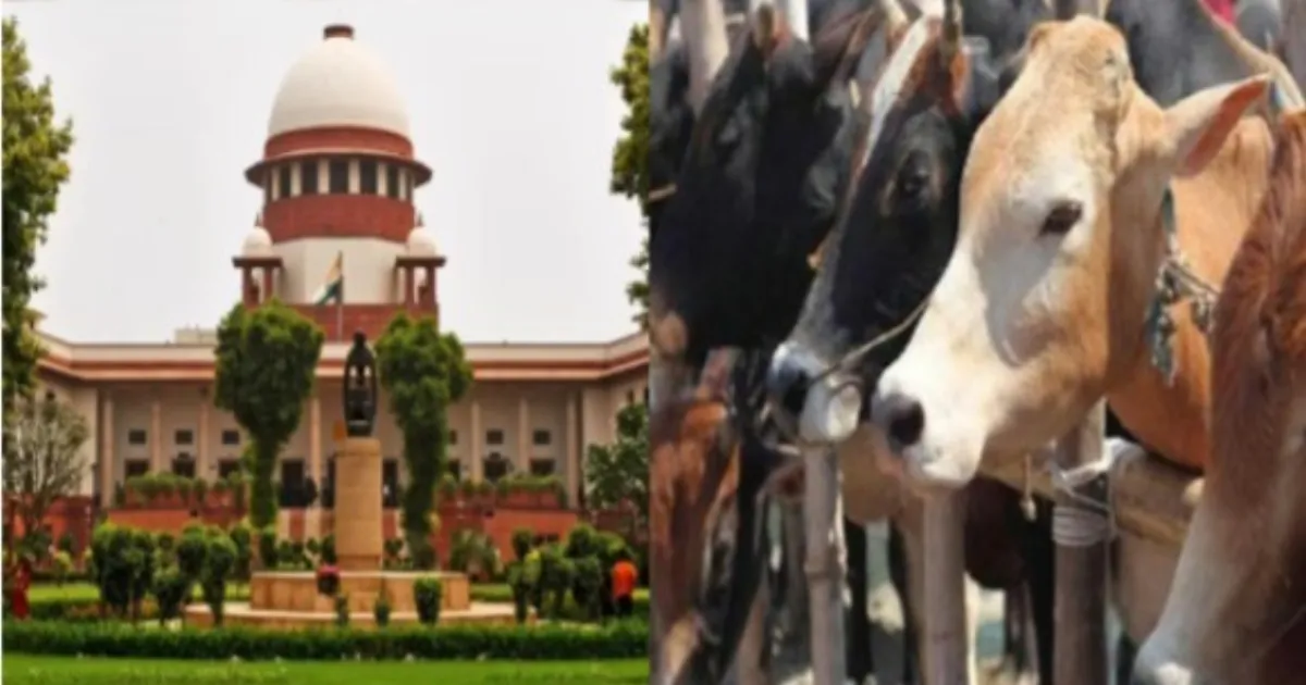 Madras HC Cow Slaughter Ban Faces Supreme Court Challenge From TN Government