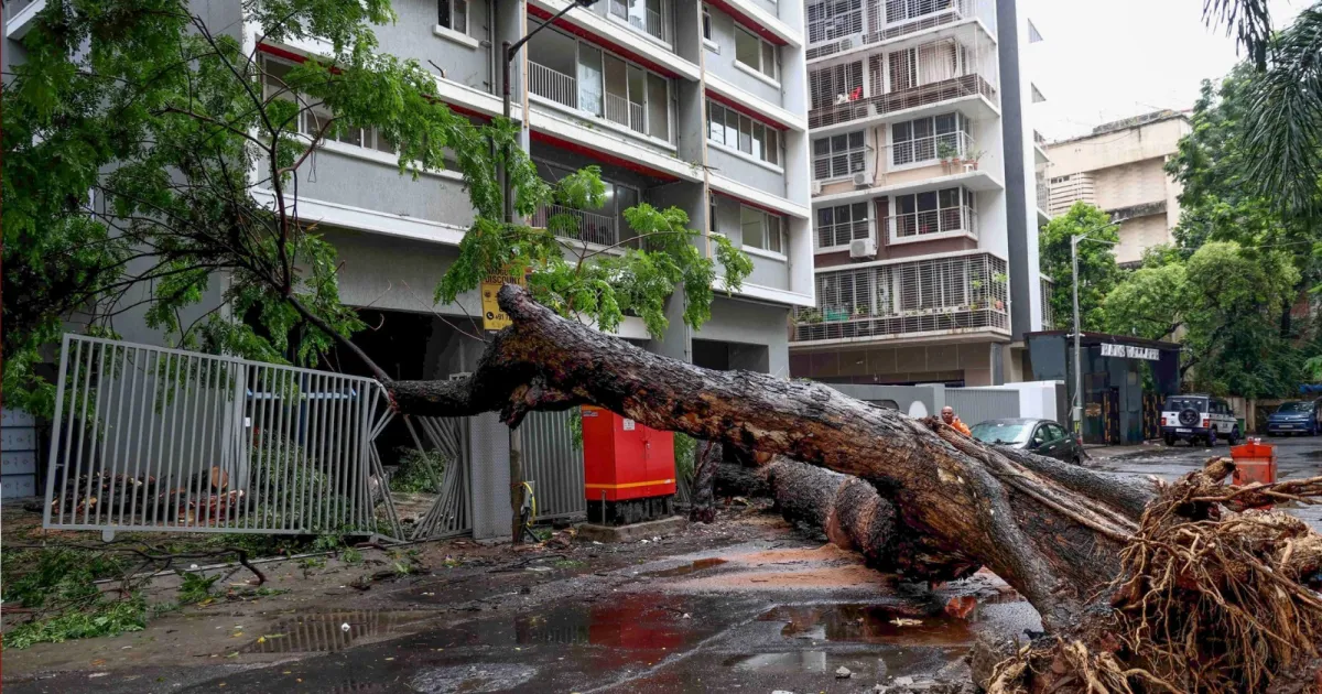 Mumbai Rain Fury Leaves Two Dead, Triggers 120 Damage Incidents Across City