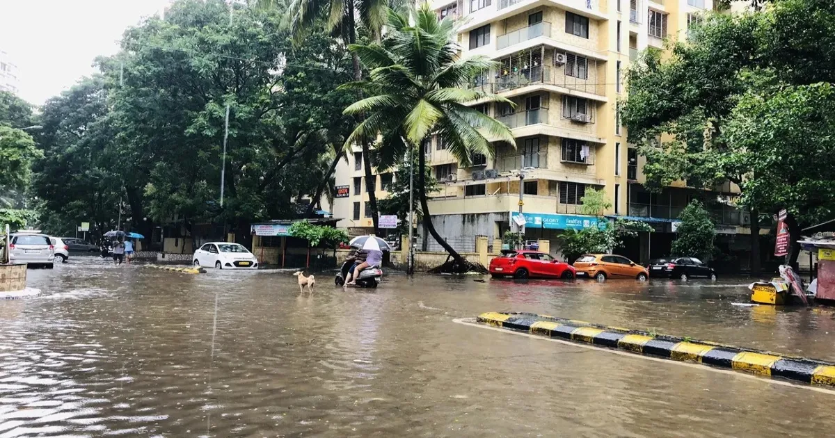 Palghar Faces Red Alert While Mumbai Remains Under IMD Orange Rain Warning