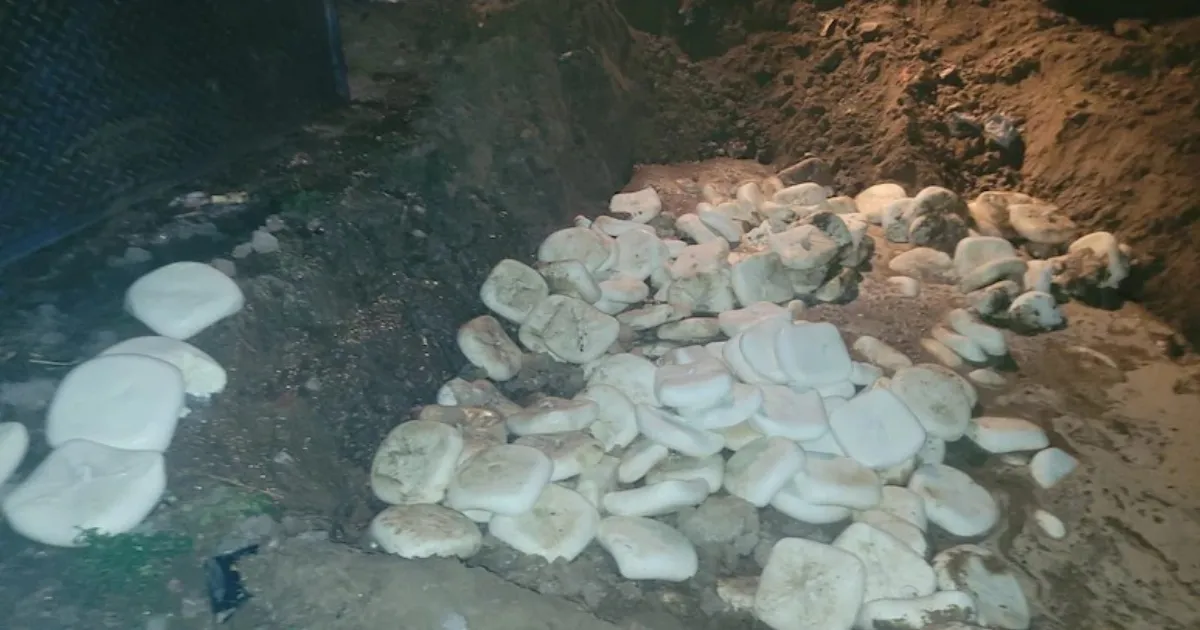 Food Safety Drive In Hyderabad Leads To 185 Cases And 122 Tonnes Seized