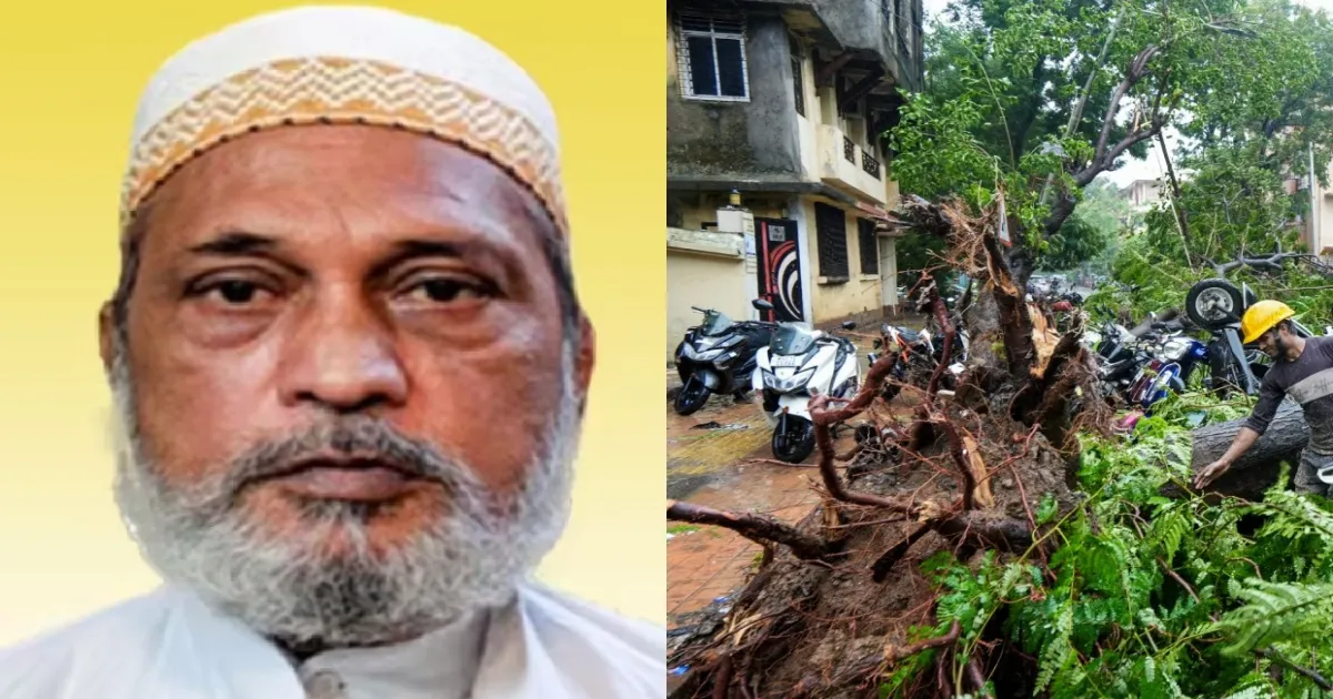 Heavy Rains Trigger Fatal Tree Collapse, Killing Man In Mumbai Amid Monsoon Spell