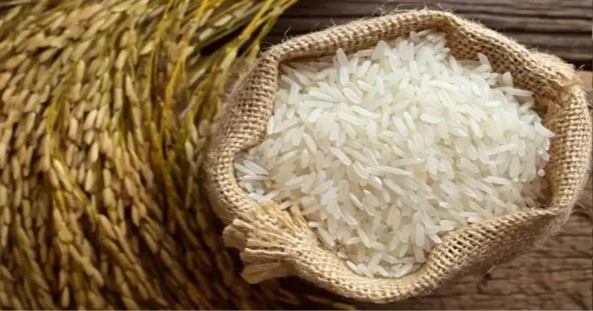 Basmati Rice Exports At Risk As Australia Suspends 44 Fumigation Agency Licences