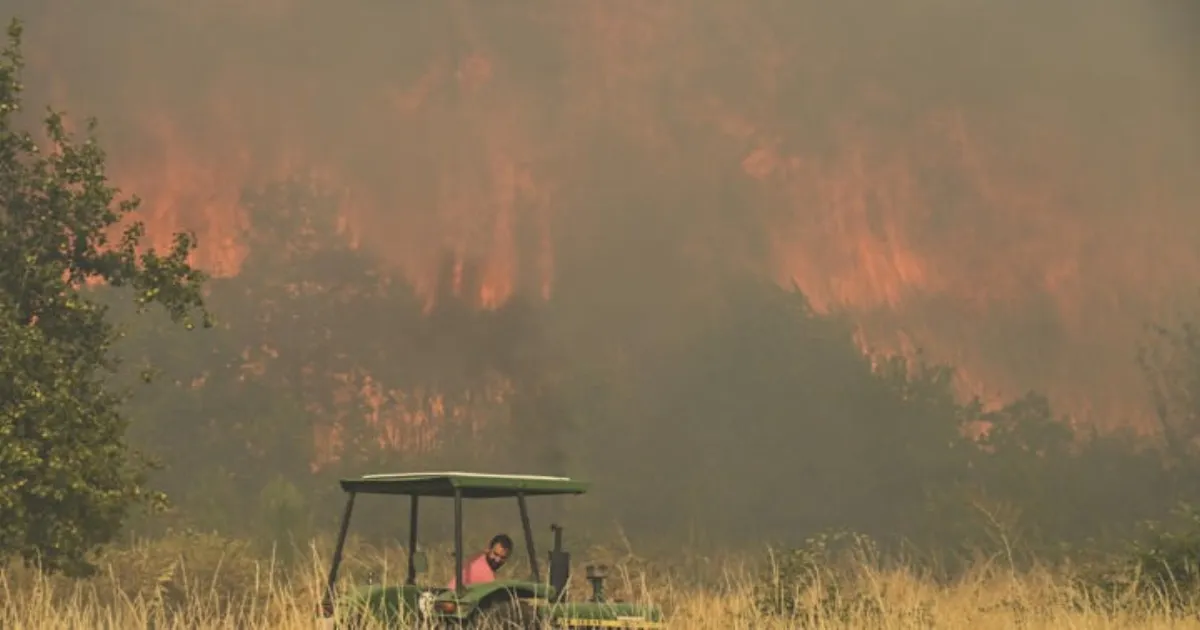 Southern Spain Battles Devastating Wildfire After Blaze Kills 12 People Across Region