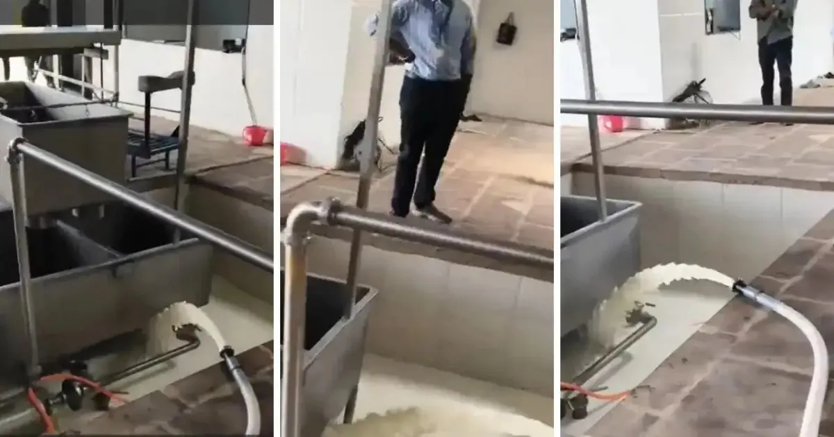 Maharashtra FDA Destroys 37,532 Litres Of Adulterated Milk During Statewide Inspections