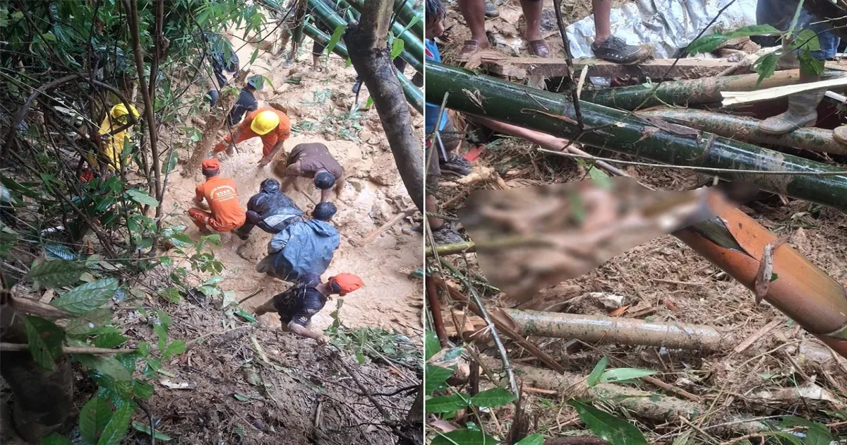 Torrential Rains Cause Landslides In Nagaland, Nine People Feared Dead
