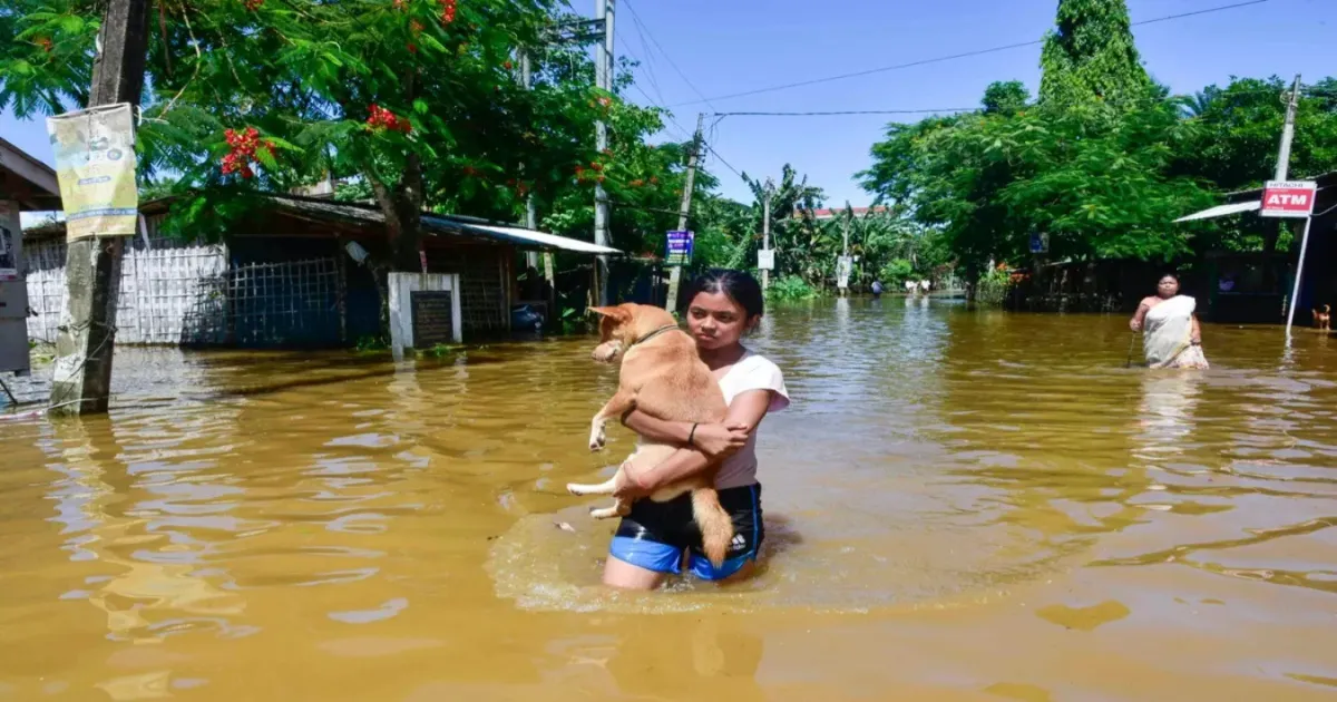 Assam Flood Crisis Escalates As Rescue Operations Continue Amid Widespread Destruction