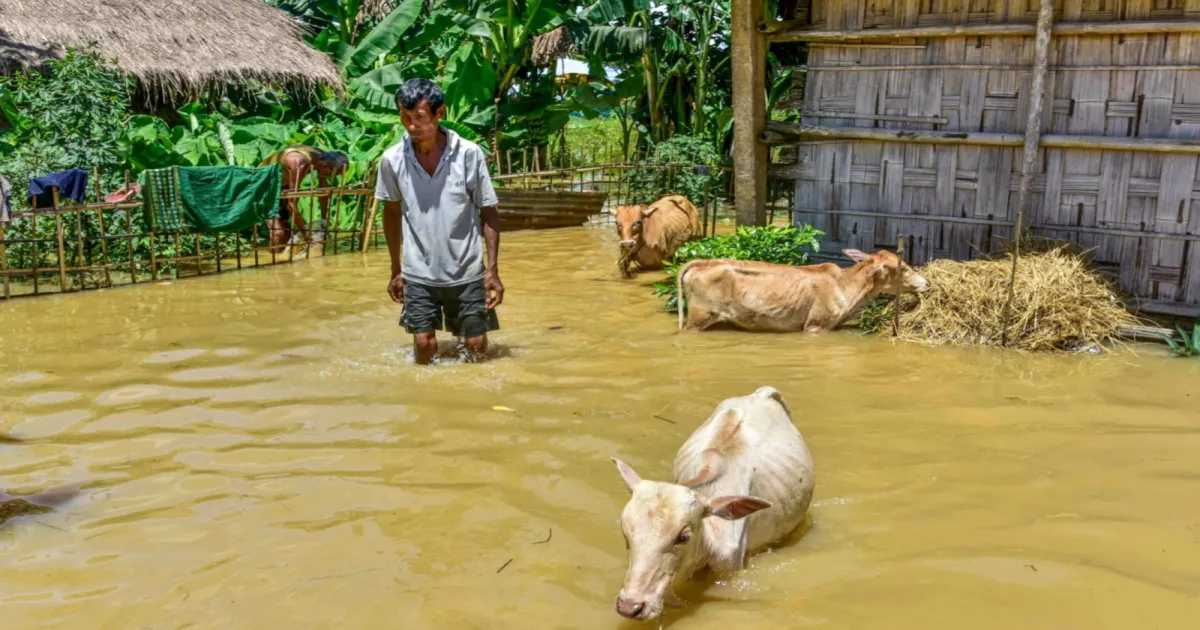 Seven Missing In Two Assam Districts As Floods Disrupt Rescue Access