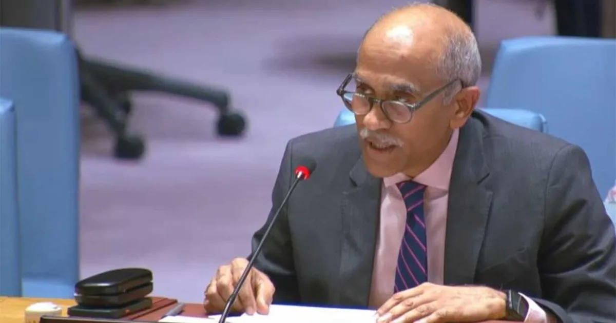 India Urges Immediate De-escalation At UNSC After Strait of Hormuz Attacks in West Asia