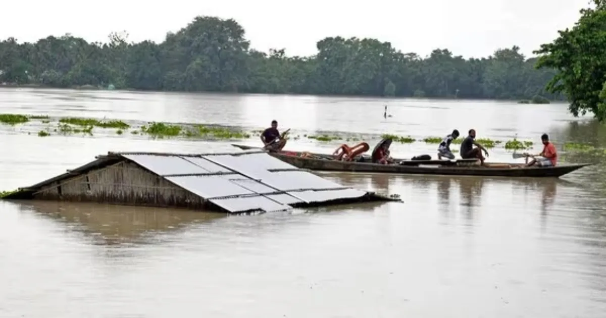 Assam Flood Crisis Deepens As 78 Dead, Thousands Of Hectares Of Crops Destroyed