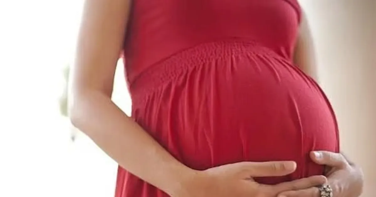 Allahabad High Court Rejects Pregnancy As Ground To Refuse Public Employment