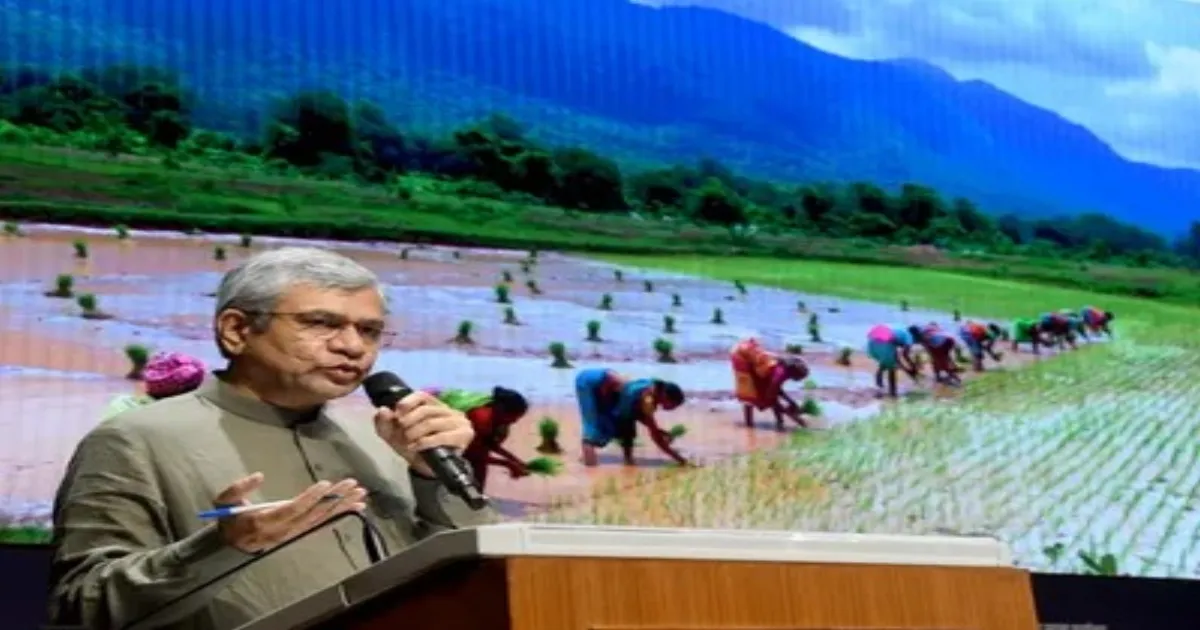 Punjab Removes Eight Lakh MGNREGA Job Cards; 14 Lakh Beneficiaries Affected