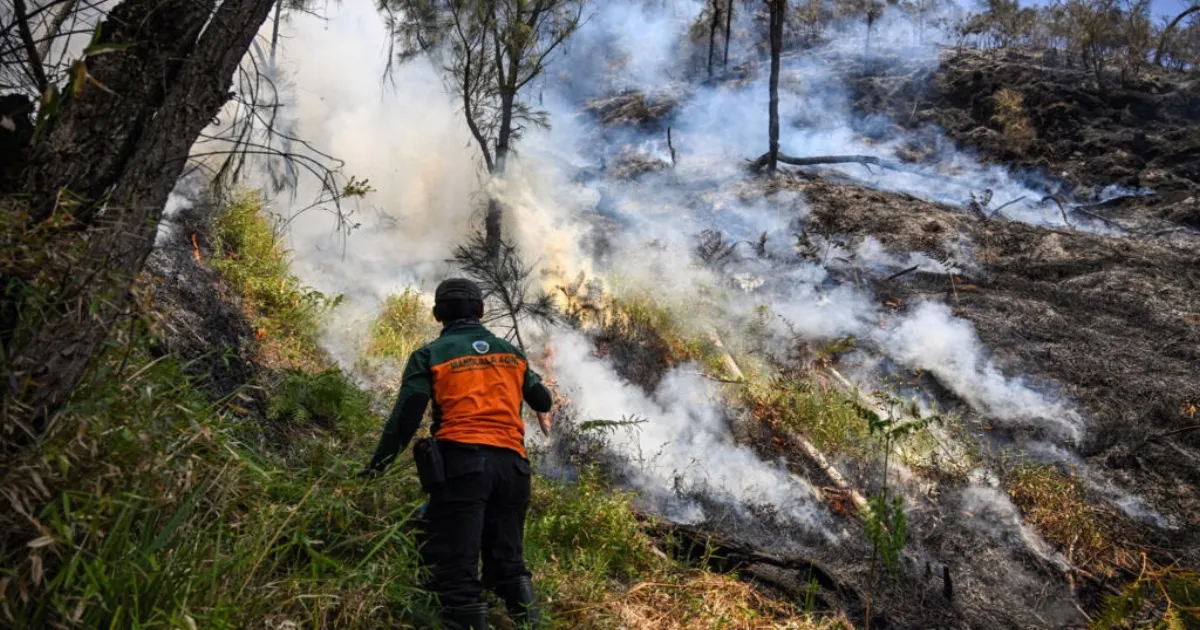 Wildfire Forces Indonesia To Close National Park After Burning 435 Acres Of Land