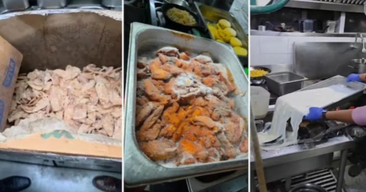 132 Kg Rotten Food Seized From Bengaluru Restaurants, Pubs During Food Safety Raids