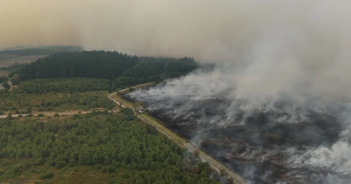 Belgian Wildfire Rages On, Prompting Hundreds To Evacuate As Firefighters Battle Flames