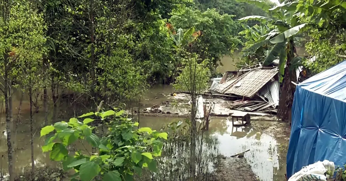 One Month After Assam Floods, Sivasagar Rebuilds As Residents Remain Wary