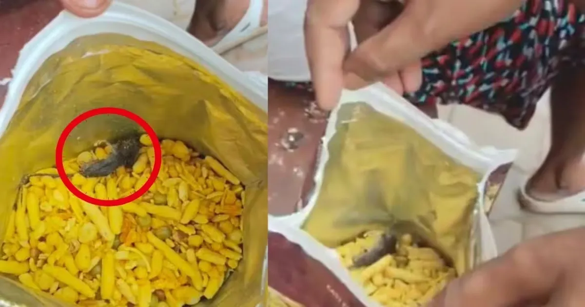 Food Safety Officials Investigate Alleged Dead Rat Found In Namkeen Packet In Kanpur