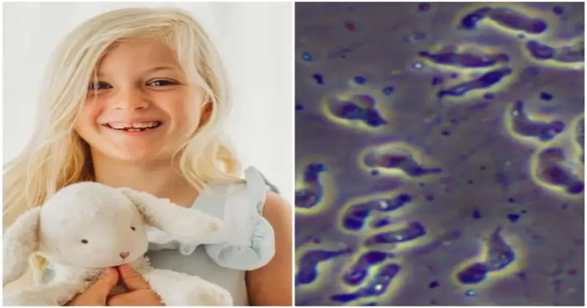8-Year-Old Louisiana Girl Dies After Contracting Rare Brain-Eating Amoeba From Lake Swim