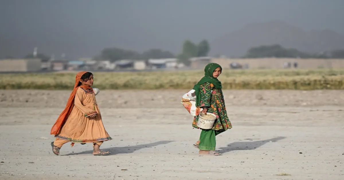 UN Warns One Million Afghan Children Face Life-Threatening Malnutrition Amid Deepening Crisis